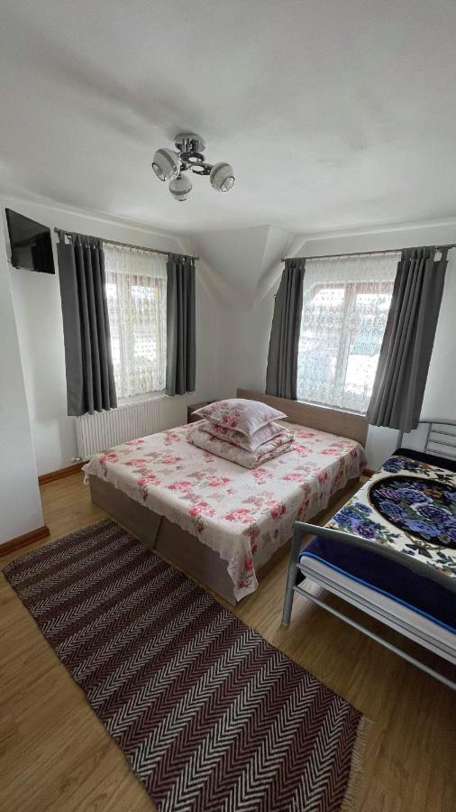Mînăstirea Humorului Casa Patyヴィラ エクステリア 写真
