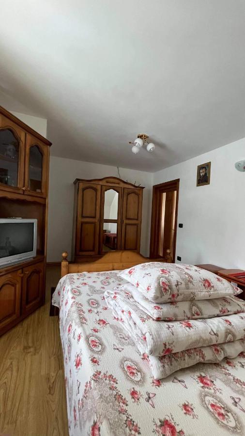 Mînăstirea Humorului Casa Patyヴィラ エクステリア 写真