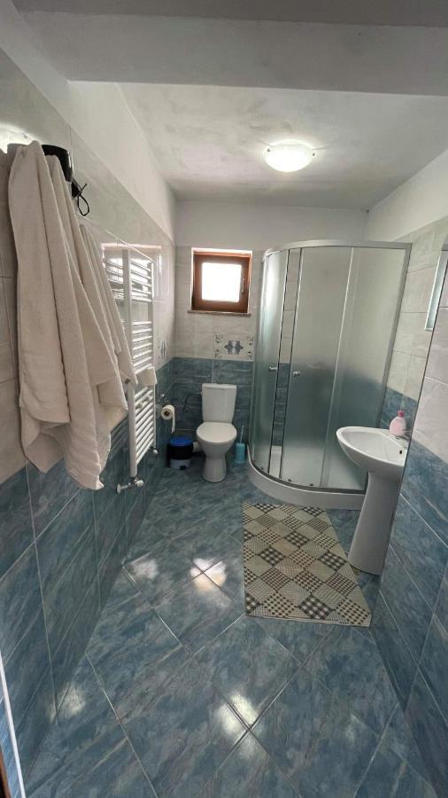Mînăstirea Humorului Casa Patyヴィラ エクステリア 写真